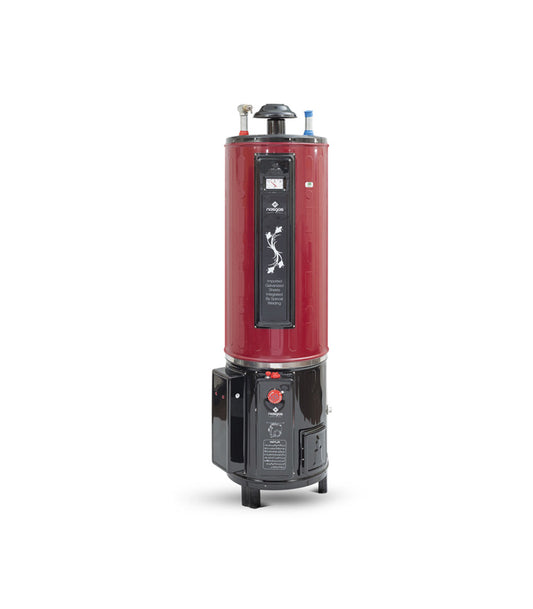 Nasgas Twin Super Deluxe Double SafetyDEG-55